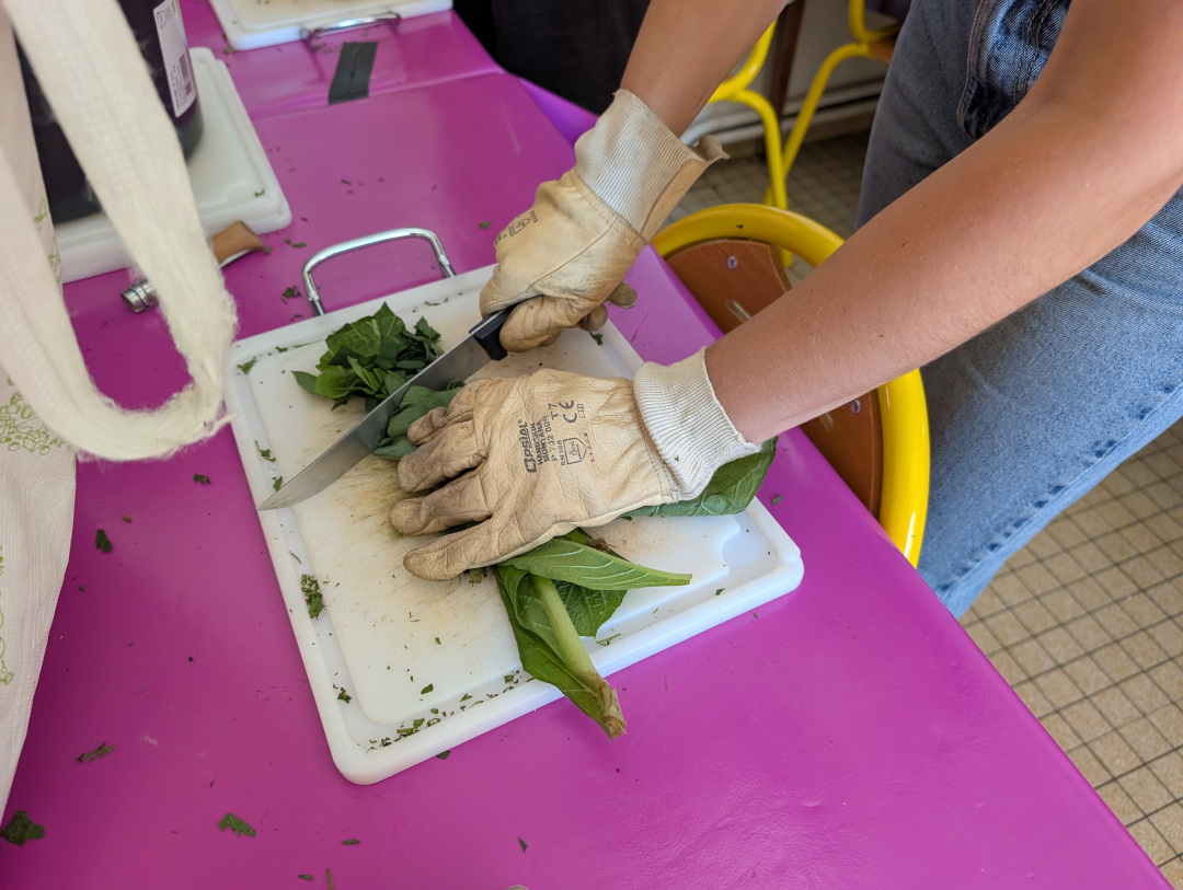 You are currently viewing Rencontre sur le développement photographique aux plantes